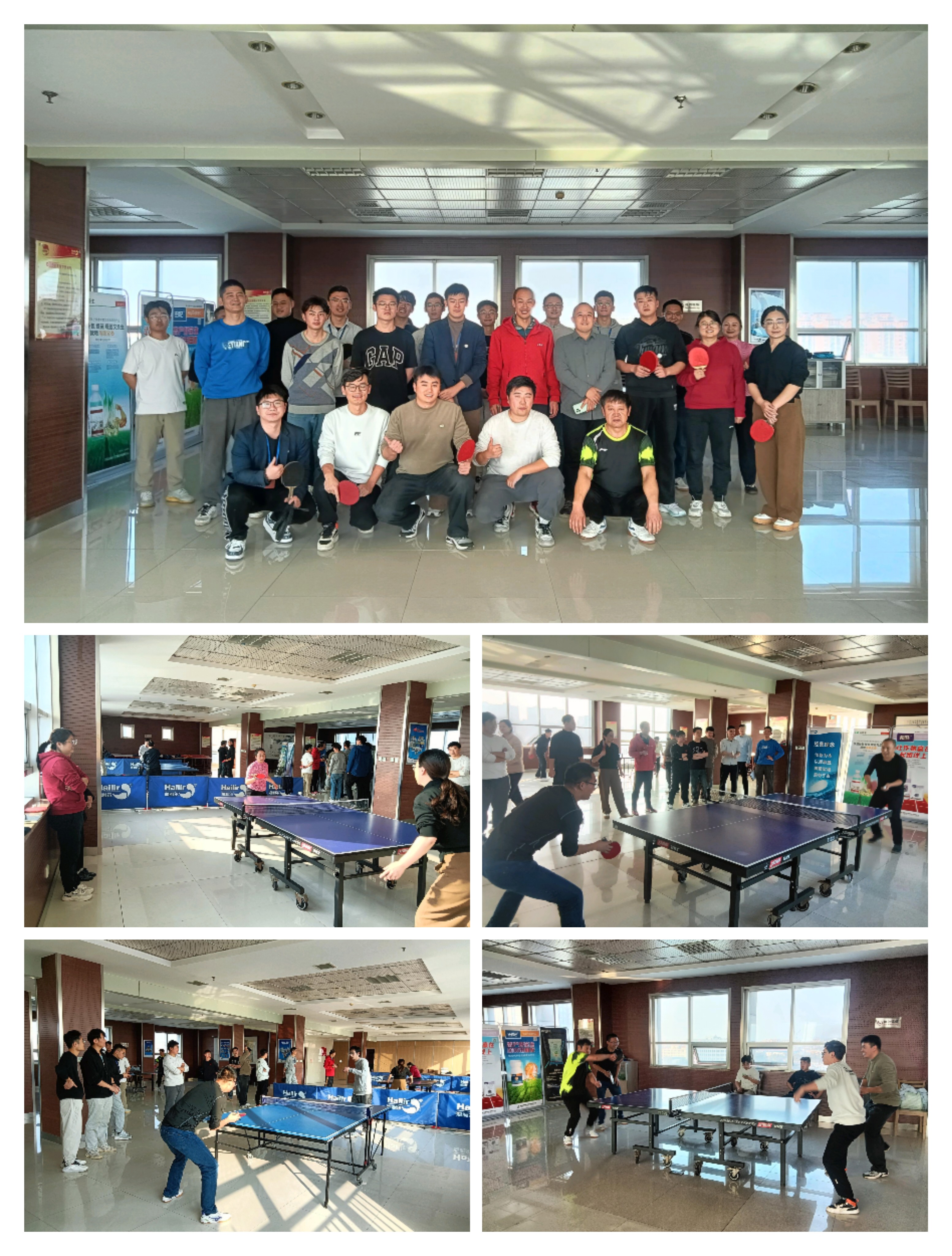 海利爾十一月“致敬耕耘 感恩回報”主題文化活動落地